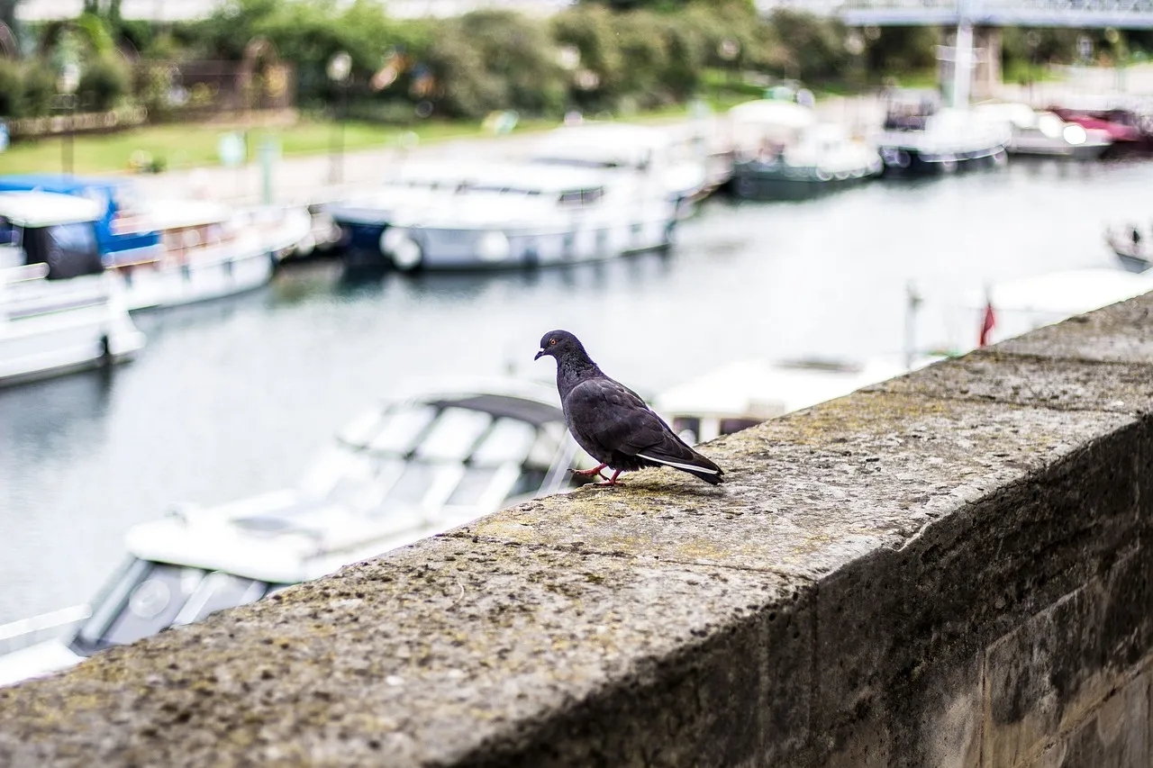 What to do in Paris for a city break?