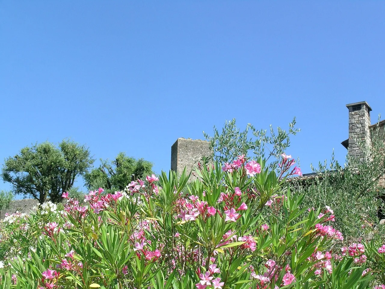 Best place to do the new year's resolutions is in Tuscany
