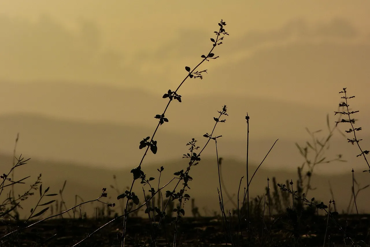 Best place to do the new year's resolutions is in Tuscany